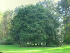 schermata 2012-02-15 a 22.17.51